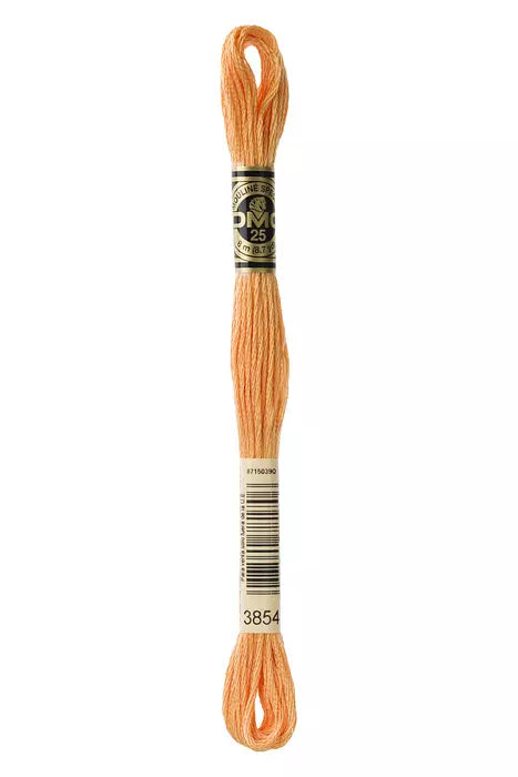 Meada mouliné DMC tons amarelo