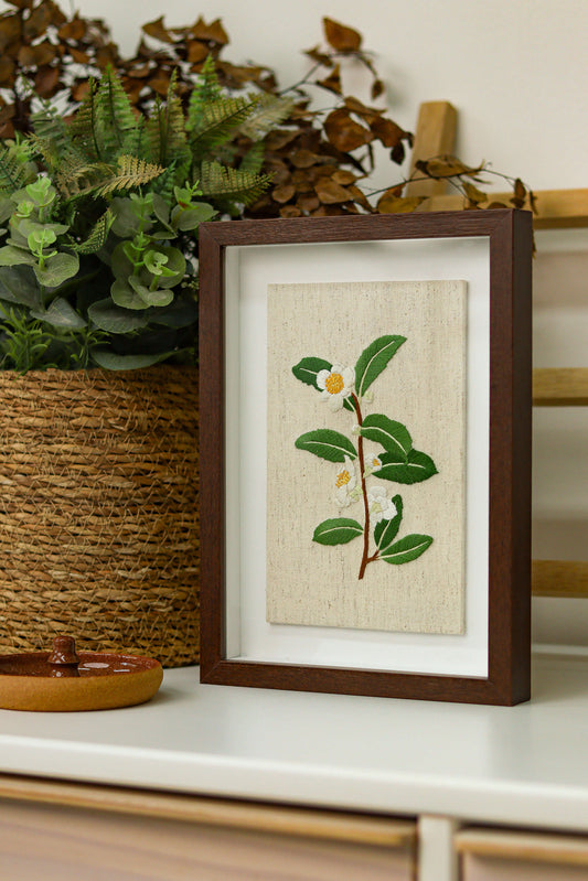 eBook edição 29 - Quadros Plantas Medicinais