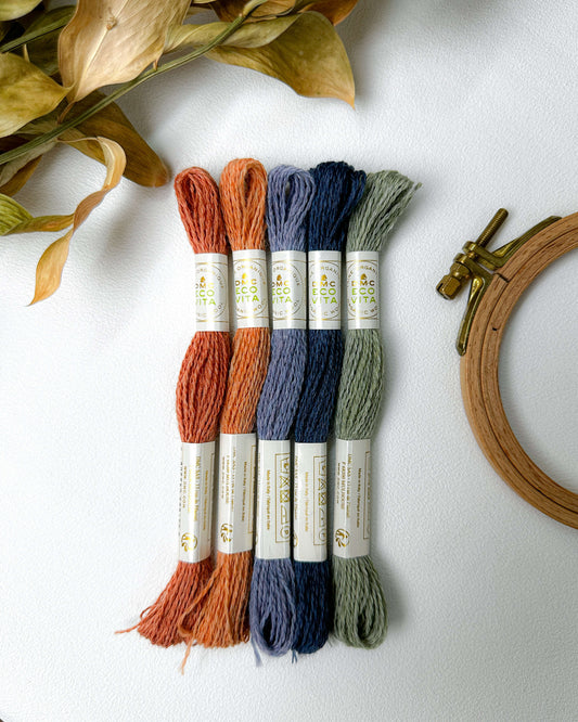 Paleta DMC EcoVitta - Suaves Encantos