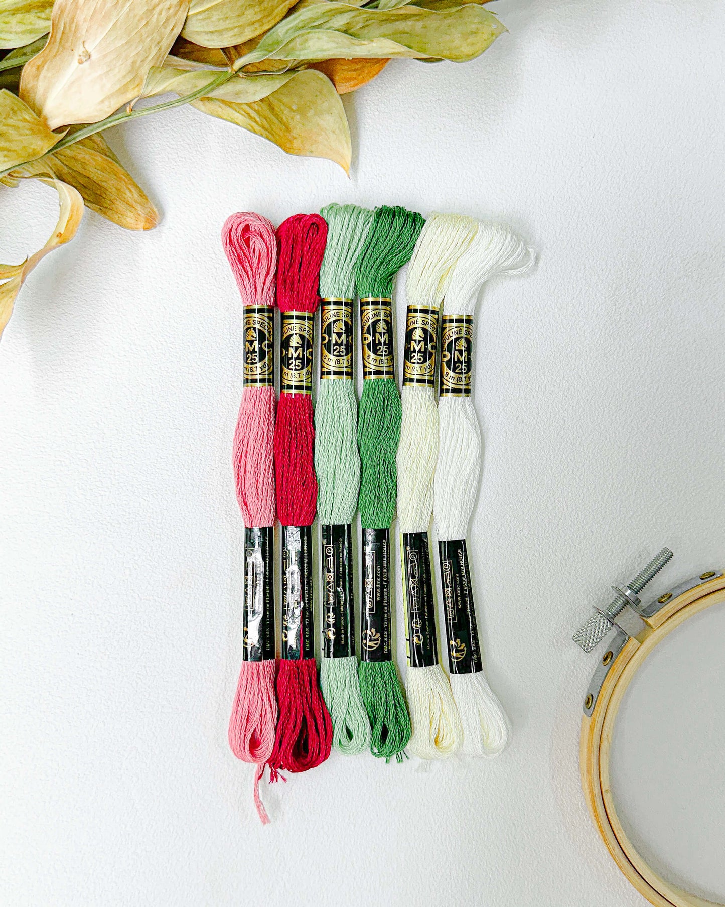 Paleta DMC Novos Olhares - Viva