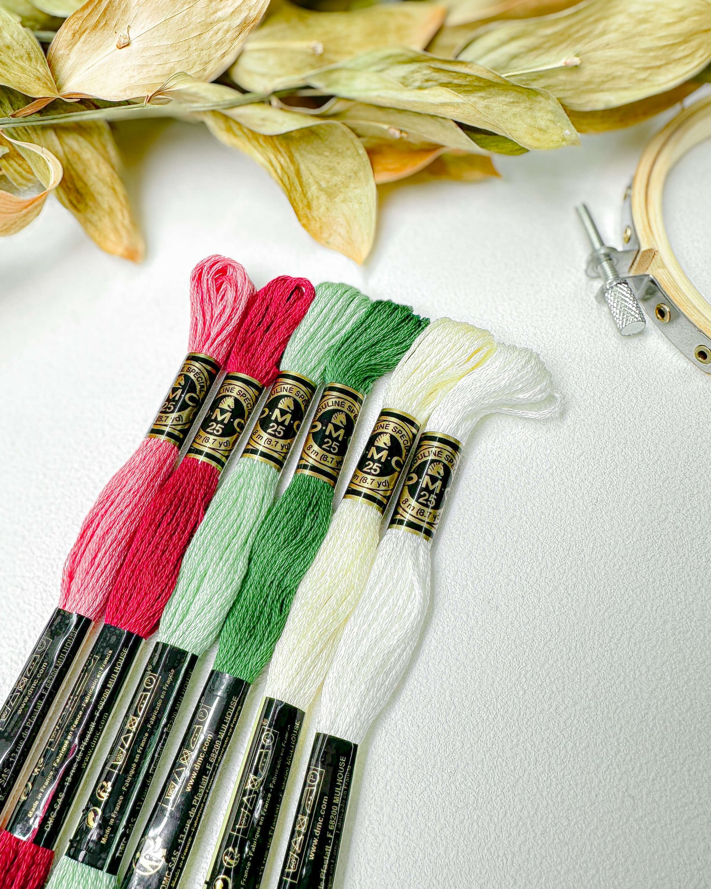 Paleta DMC Novos Olhares - Viva