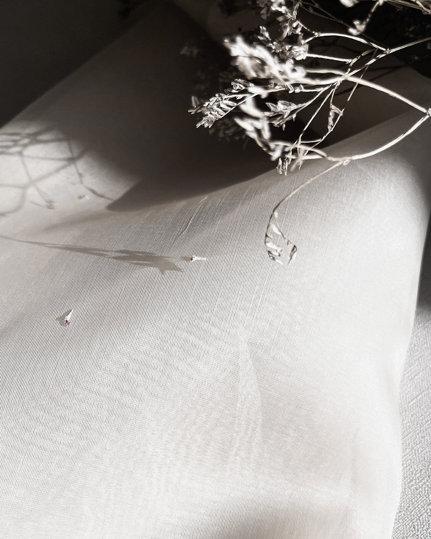 Organza de seda off white 1/2 m