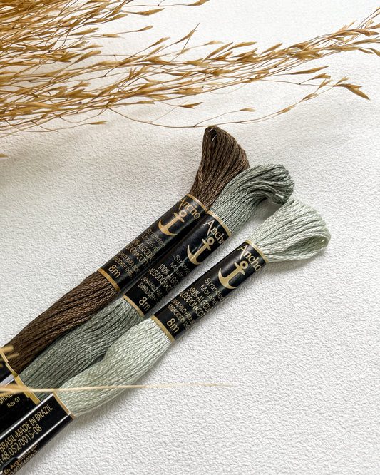 Paleta risco Ele Vive - ANCHOR