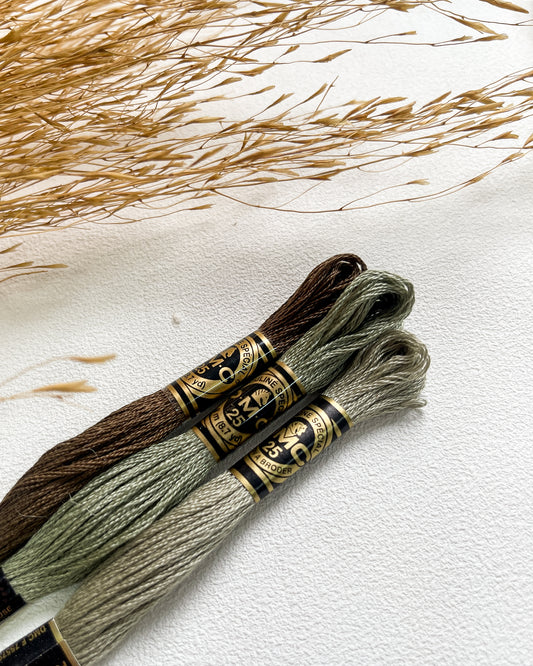 Paleta risco Ele Vive - DMC