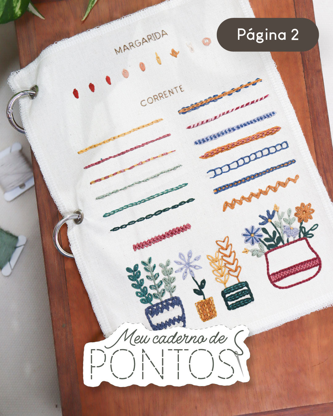 Curso Caderno de Pontos - Página 2