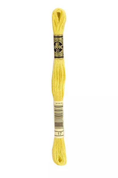 Meada mouliné DMC tons amarelo