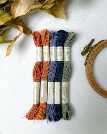 Paleta DMC EcoVitta - Suaves Encantos