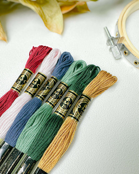 Paleta DMC Novos Olhares - Serena