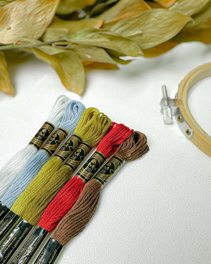 Paleta DMC Novos Olhares - Calma