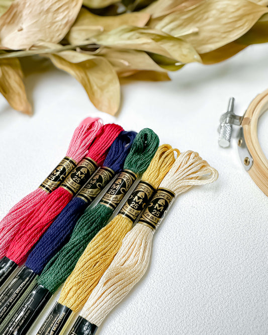 Paleta DMC Novos Olhares - Criativa