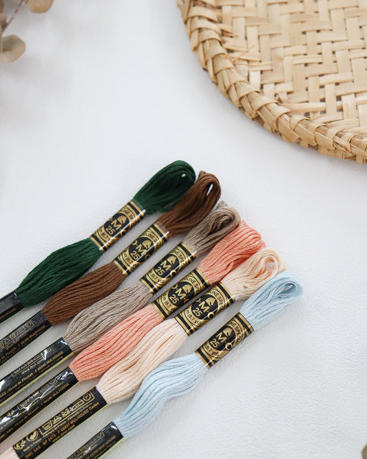 Paleta DMC - Encanto